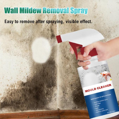 Cleaner Pro° | Spray Anti-Moisissure