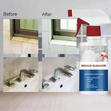 Cleaner Pro° | Spray Anti-Moisissure