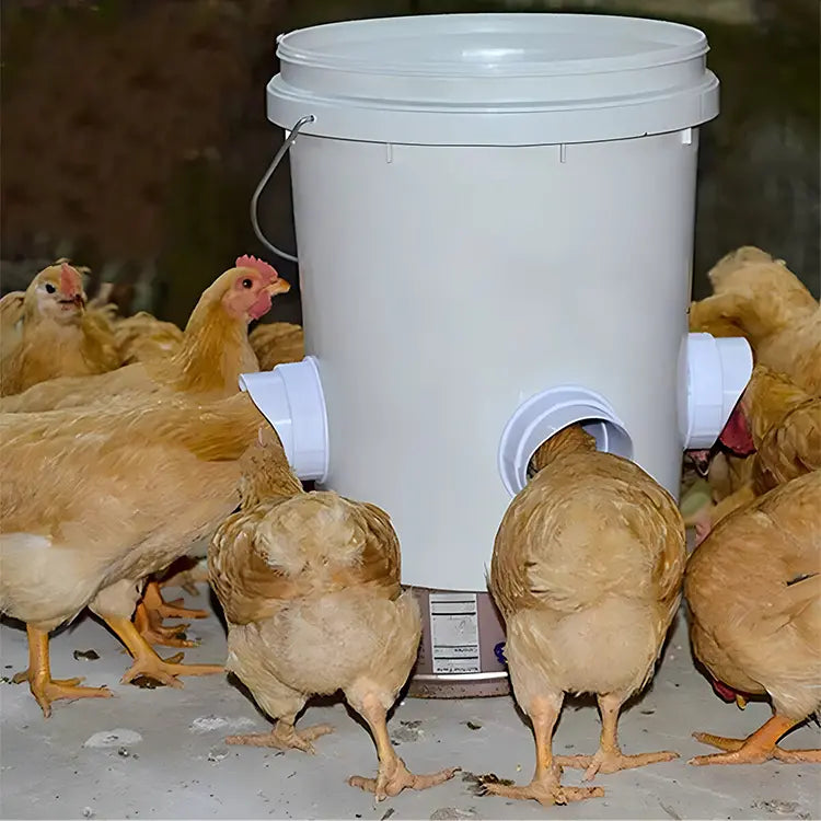 Kit d’Alimentation Pro pour Poules et Volaille | 5 Packs